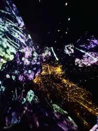 【麻布台】魔法のアート空間💫麻布台ヒルズに誕生したteamLab Borderlessで夢の世界へ