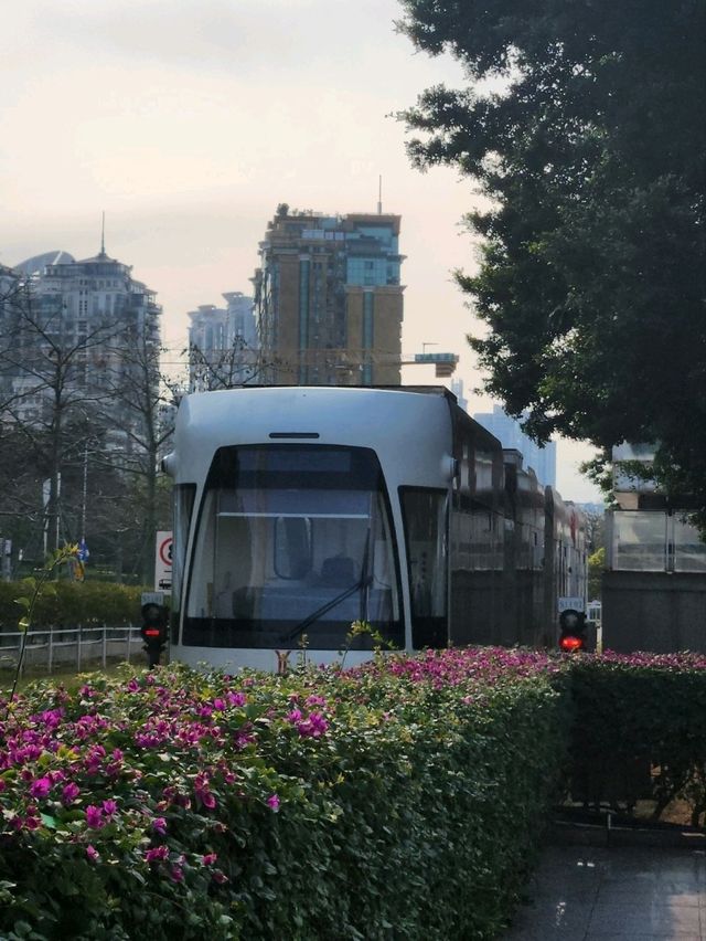 📍廣州之旅📸不能錯過塔有軌電車遊💯🥰