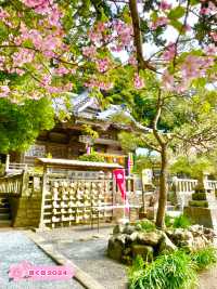 【伊古奈比咩命神社/静岡県】伊豆最古の宮と桜
