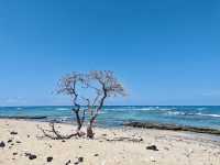 Kekaha Kai State Beach