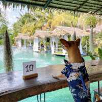 ชายนาคาเฟ่ นนทบุรี