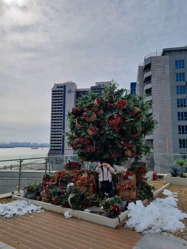 감성 오션뷰 카페 감성 오션뷰 카페