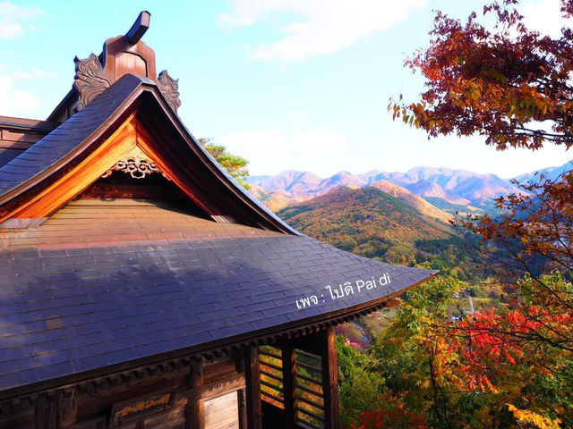 วัดยามาเดระ: ใบไม้เปลี่ยนสีสุดปัง🍁