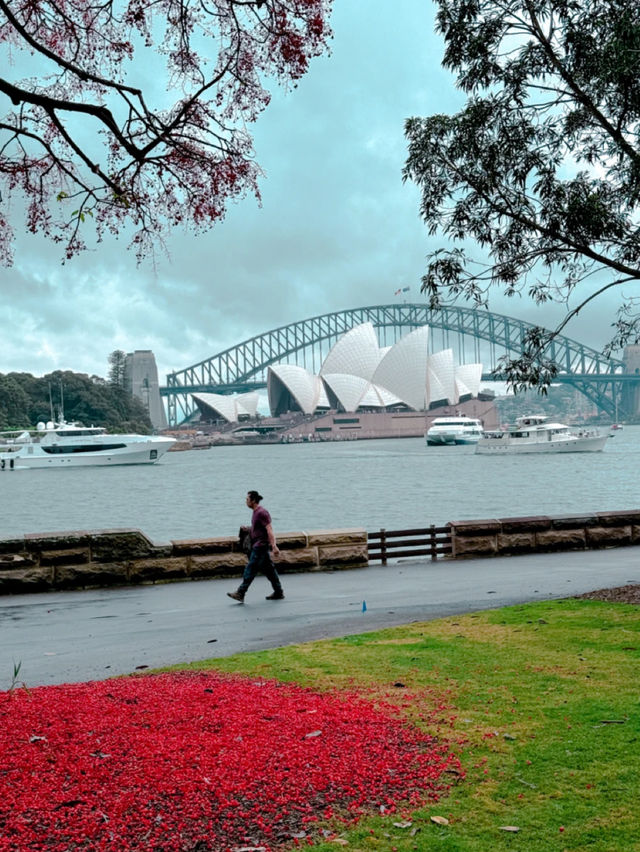 🇦🇺🦘보타닉가든, 지나가는 모든 사람이 발걸음을 멈추는 장소!