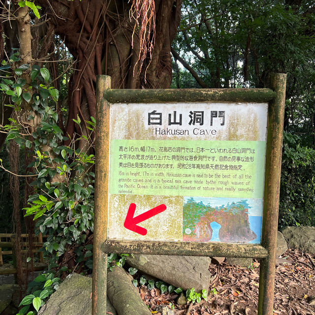 高知県絕景スポットおすすめ2選
