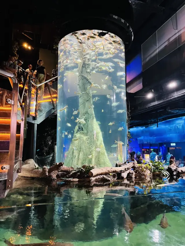 Aquaria KLCC