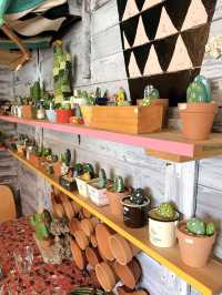 【福岡カフェ】多肉植物いっぱいの個性的な店内が可愛すぎる🌵