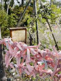 【大阪府】春の豊國神社で出世開運をお祈り！