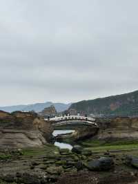 อุทยานหินแปลกริมหาดทะเลที่ Yehliu Geopark