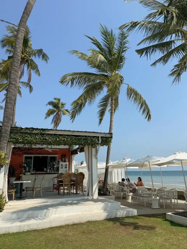 📍 MATAPITA.TEA ☕️