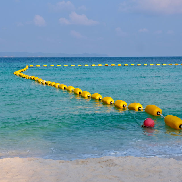 ถ่ายรูปกับห่าน หาดเทียน เกาะล้าน ชลบุรี