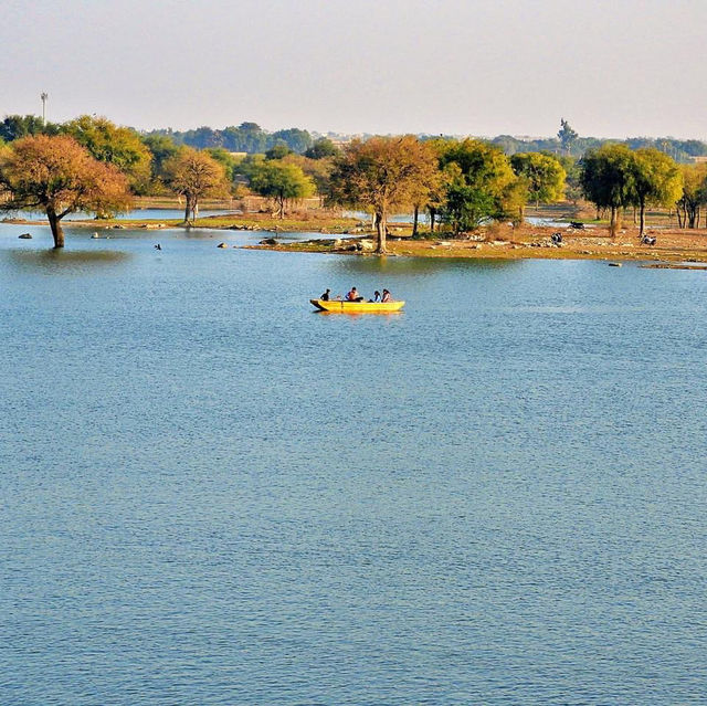 💛 Exploring the Tranquil Gadisar Lake 🛶