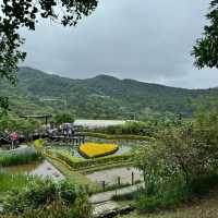 臺北台湖公園：湖光山色，適合野餐、散步和欣賞湖景