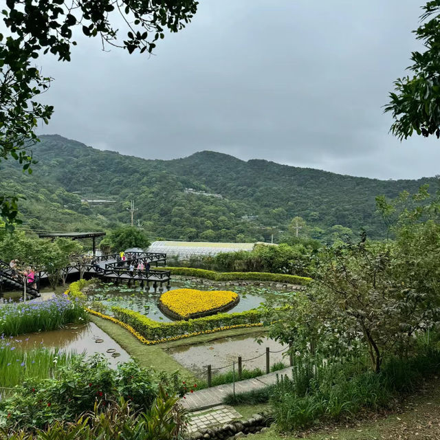 臺北台湖公園：湖光山色，適合野餐、散步和欣賞湖景
