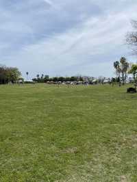 【赤穂】赤穂海浜公園のタテホわくわくランド