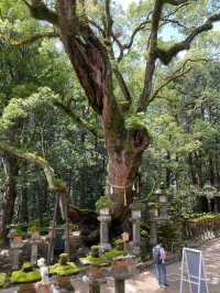 【奈良県】春日五代龍神めぐり「龍王珠石」