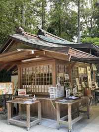 【京都府】世界文化遺産「宇治上神社」を参拝！