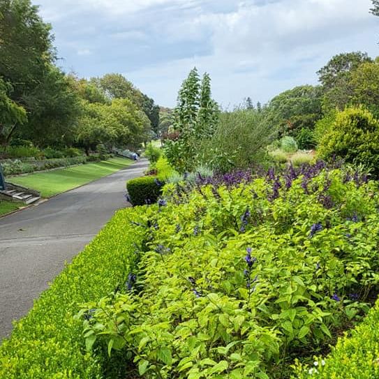 A Haven for Nature Lovers: Royal Botanic Gardens Sydney