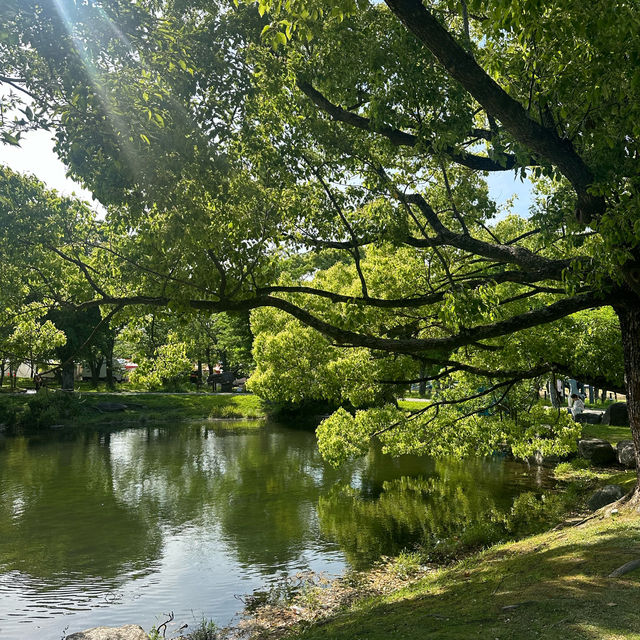 【大阪】萬博記念公園：5月花海，適合野餐🌿