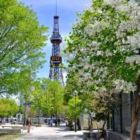 park is spacious in heart of city