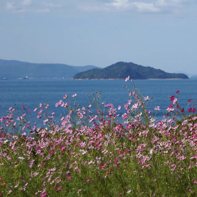 圓月島：壯闊海景，難忘旅行回憶