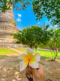วัดอุโมงค์ | เชียงใหม่