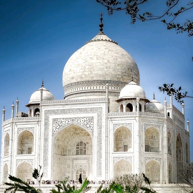 The Taj Mahal 🌟