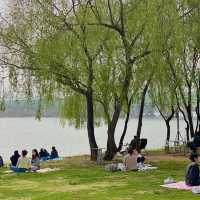 서울 피크닉명소 노들섬🏝️편의시설 잘되있는 복합문화공간 추천