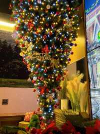 🎄창원근교 유일하게 거꾸로 트리 볼 수 있는 곳 이뿌니까 박제💗