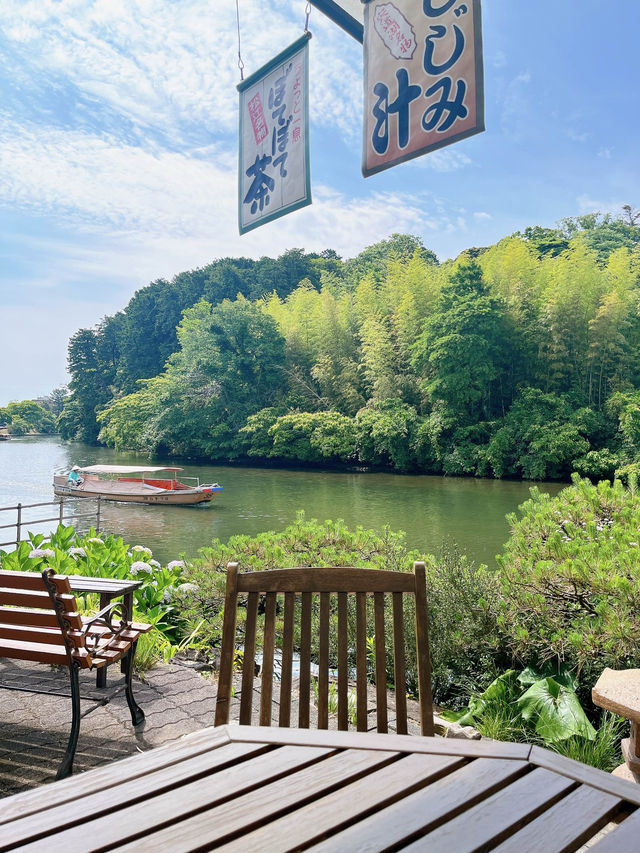 【島根　松江】殿様が飲んでいた！？