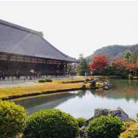 【京都観光】世界文化遺産である天龍寺