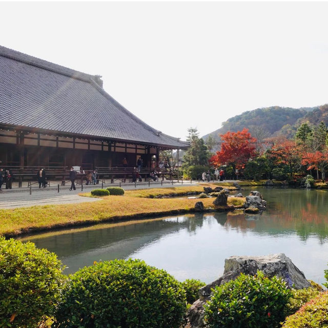 【京都観光】世界文化遺産である天龍寺