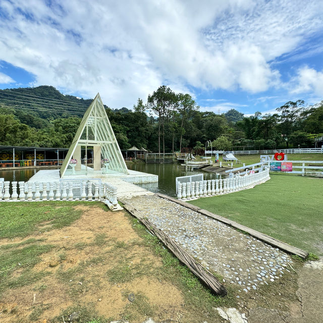 桃園富田農場｜小動物多小孩子玩得很開心