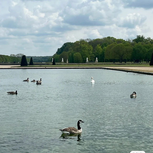 達西莊園：歷史景觀，美麗花園