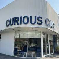 Curious cafe 
