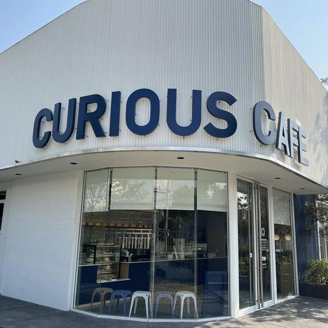 Curious cafe 