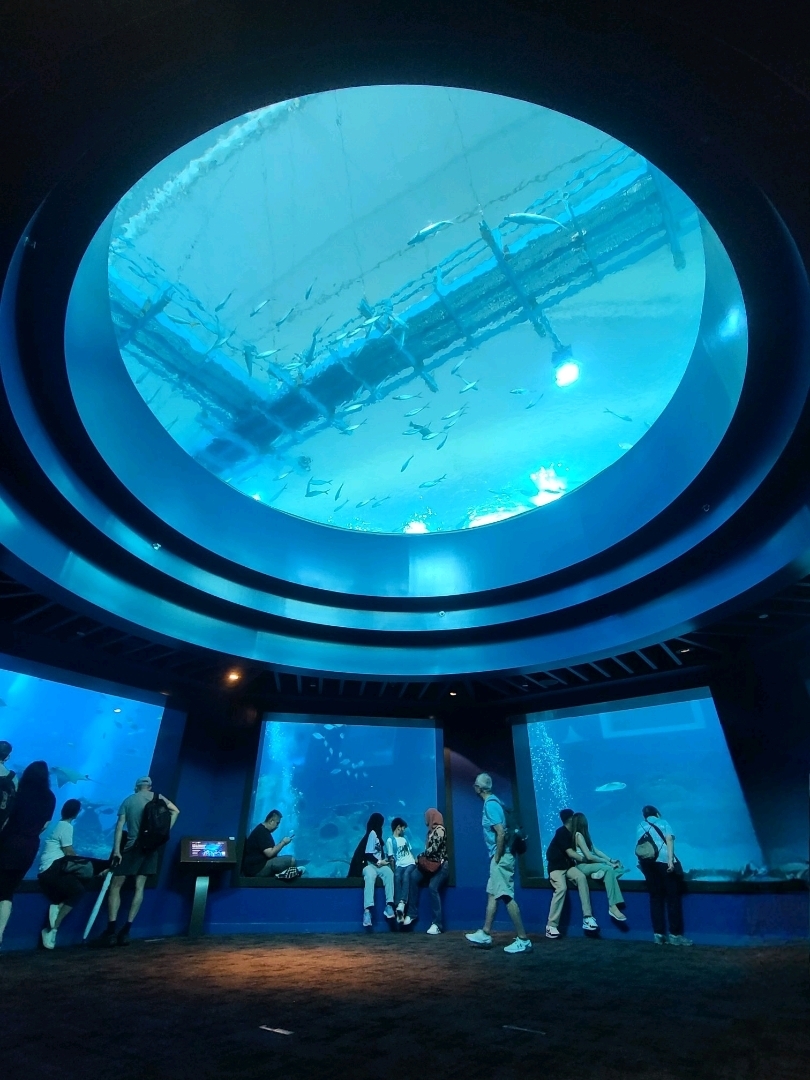 シンガポールの水族館 | Trip.com シンガポール