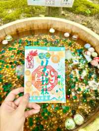 〜京都府〜混まない！初夏の夏詣におすすめ神社⛩️