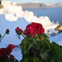 พาชมเมือง Santorini ประเทศกรีซ