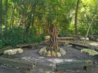 Assana Cafe At Khaoyai 