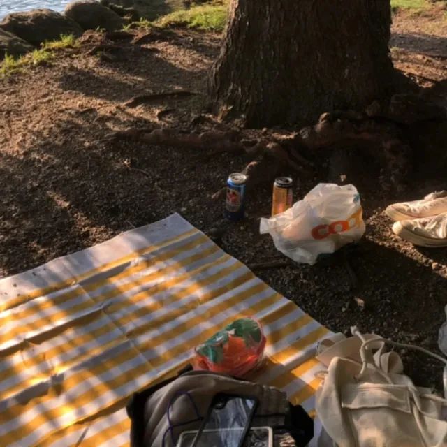 🇨🇭드넓은 스위스 호수에서 수영하기! 꼭 해보세요:)
