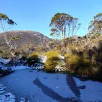 the best of Tassie