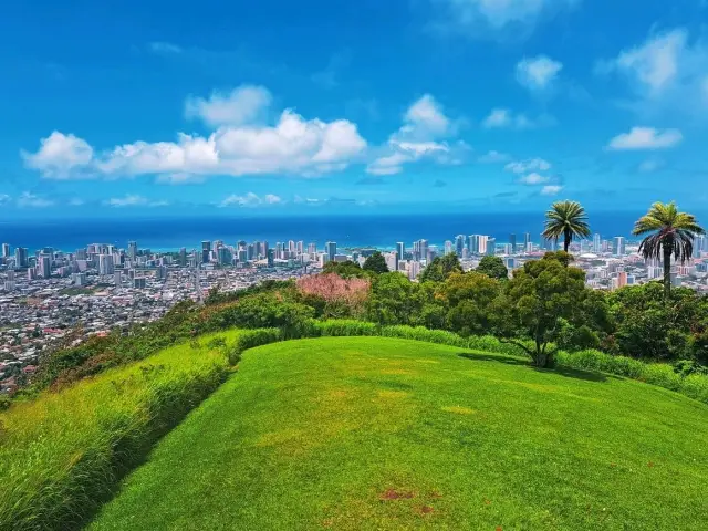 👣 Relaxing Hike at Tantalus Lookout 