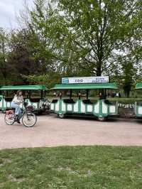 娛樂性豐富的里昂金頭公園🎠🎠🛝