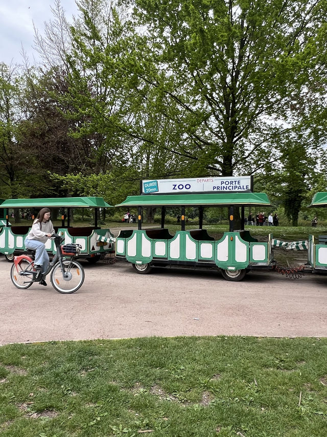 娛樂性豐富的里昂金頭公園🎠🎠🛝