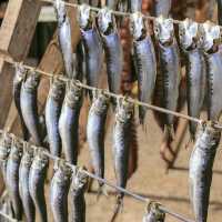 Ine Fishing Village Japan