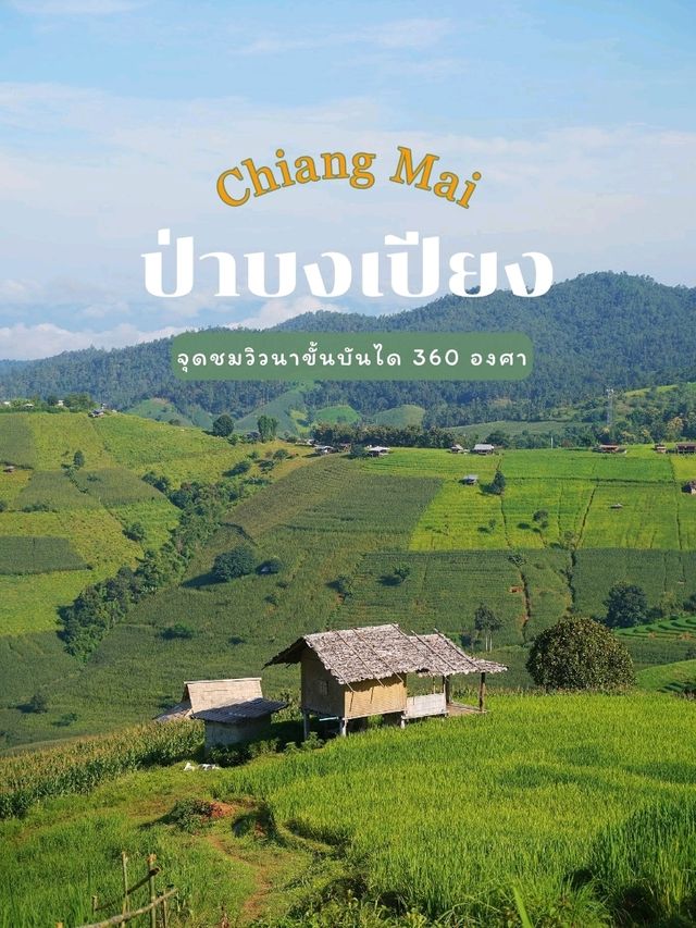 ป่าบงเปียง - นาขั้นบันไดวิว 360 องศา