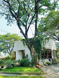 Judy’s home cafe คาเฟ่ใต้ต้นไม้ใหญ่