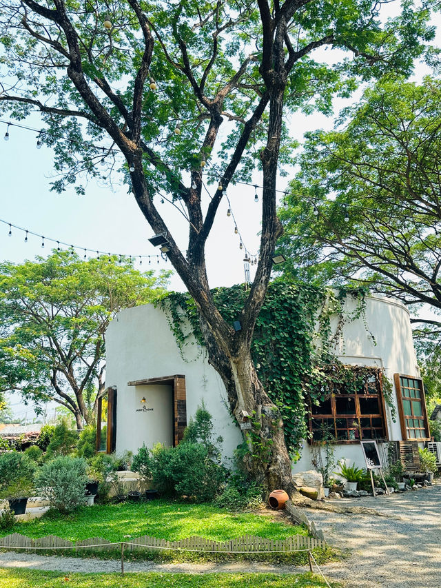 Judy’s home cafe คาเฟ่ใต้ต้นไม้ใหญ่