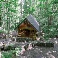 【北海道】初夏の北海道を堪能できるスポット！
